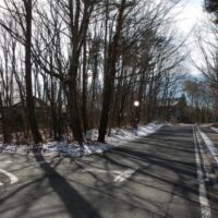 浅間山1000m林道沿い