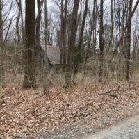 追分文化村別荘地