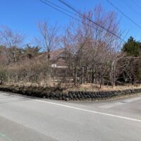 野沢原土地