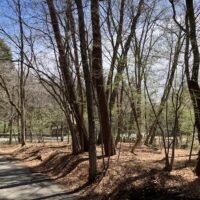 千ヶ滝中区土地