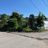 鳥井原土地