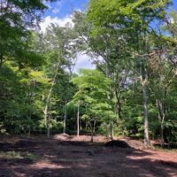 追分文化村土地