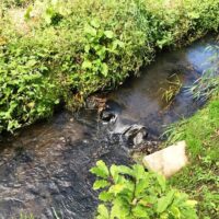 隣地を流れる小川