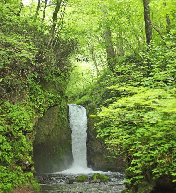 イメージ写真（滝）