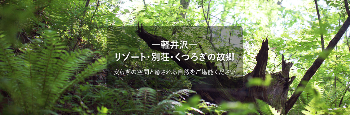 −軽井沢− リゾート・別荘・くつろぎの故郷 安らぎの空間と癒やされる自然をご堪能ください